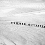 Silhouetted group hiking across a vast snowy landscape showcasing adventure and endurance.